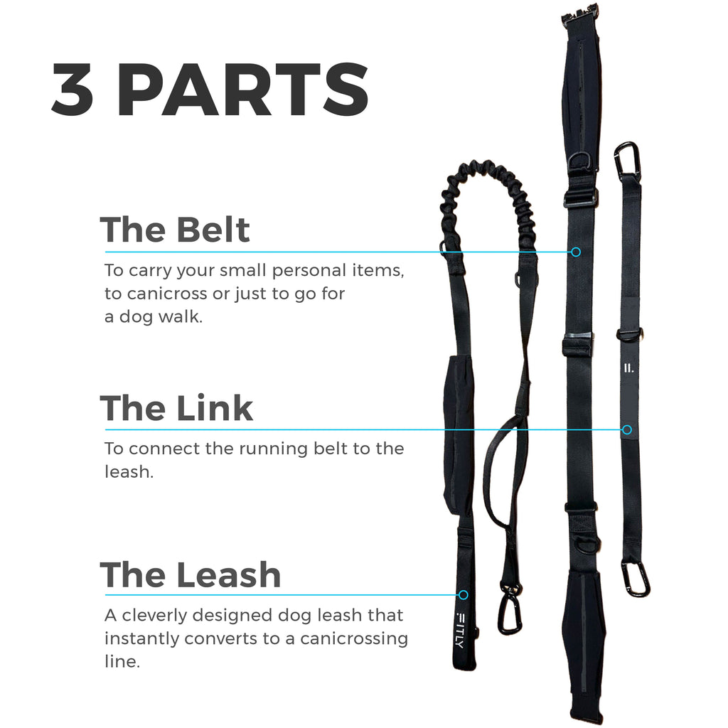 FITLY Running Belt + Dog Leash