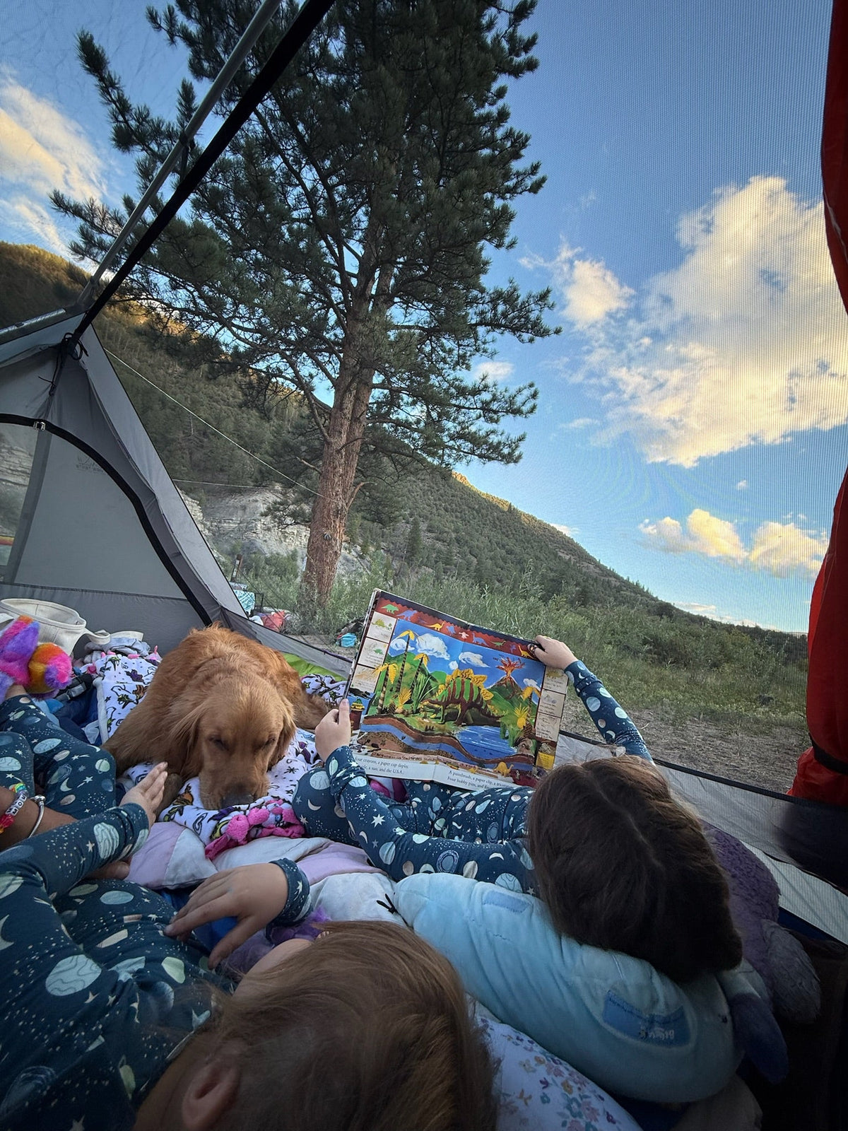 Sky View XL 3+ Person Stargazing Tent