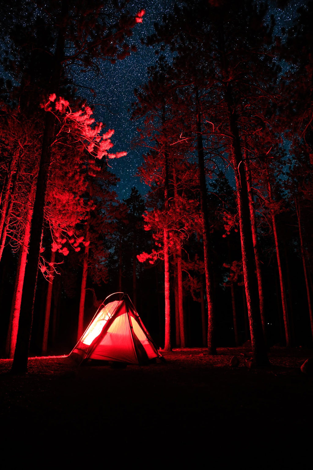Sky View Duo 2-Person Stargazing Tent