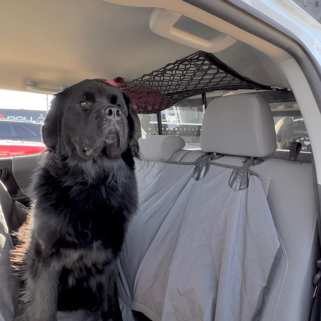 Chevrolet Colorado Attic Storage Net