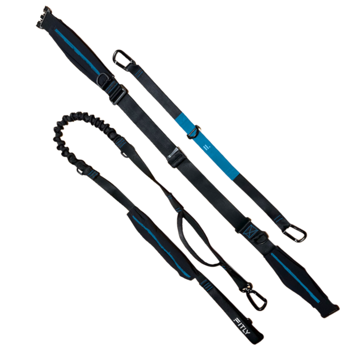 FITLY Running Belt + Dog Leash