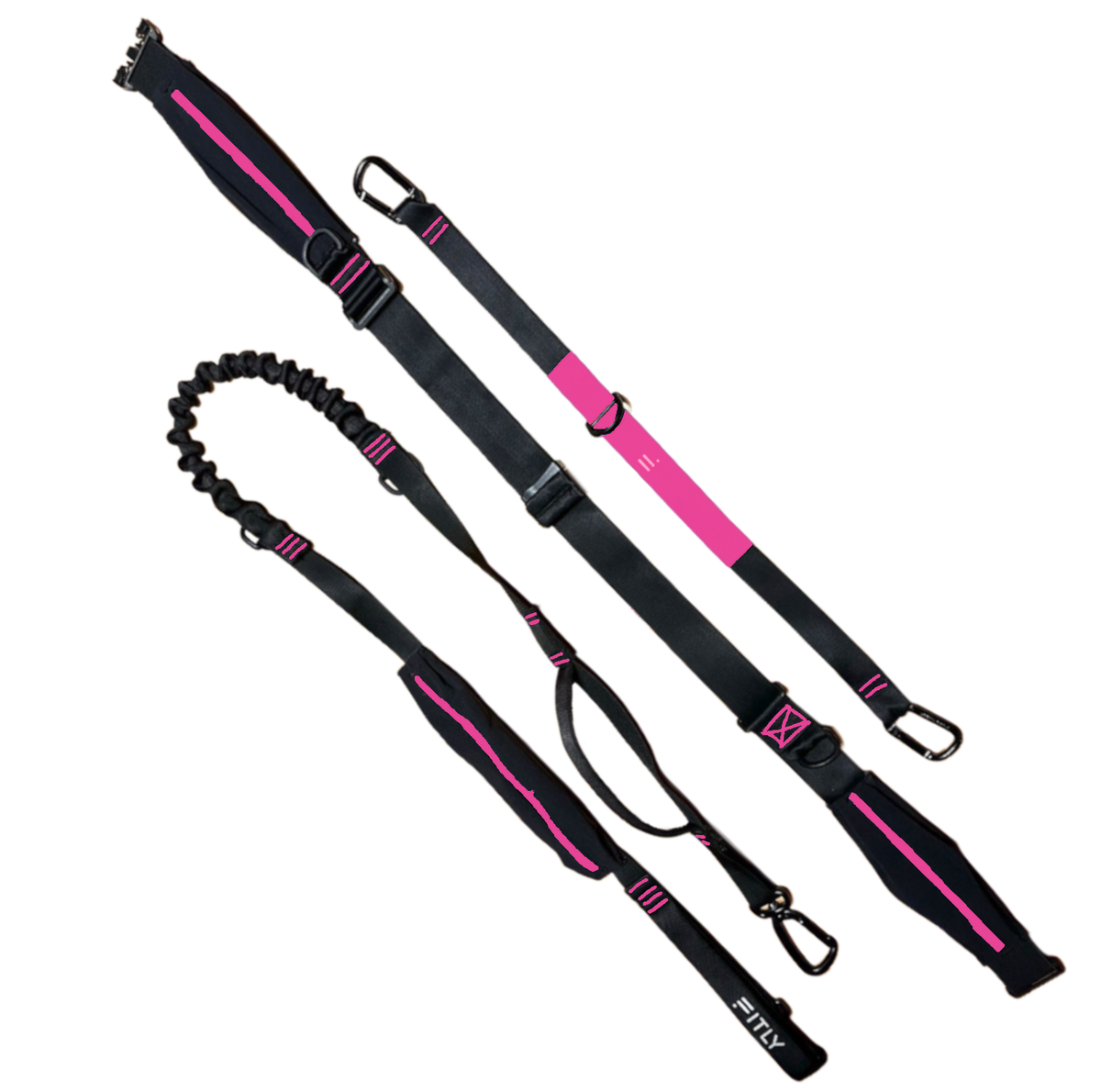 FITLY Running Belt + Dog Leash