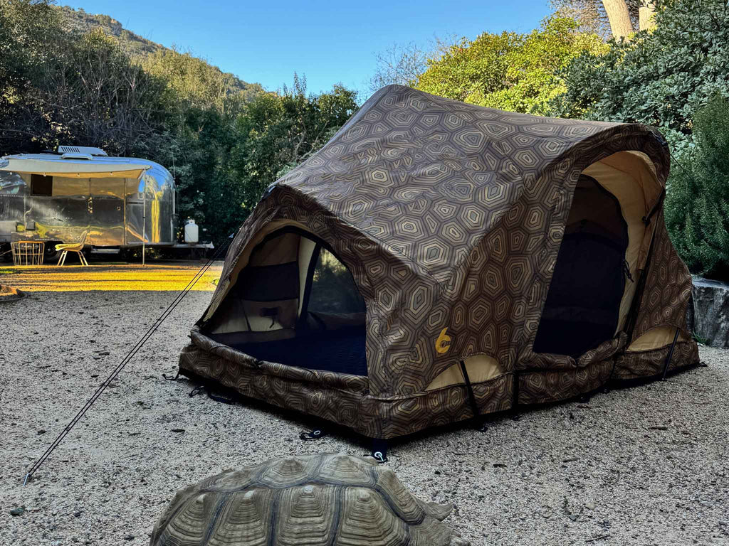 C6 Outdoor REV Tent — Shellter