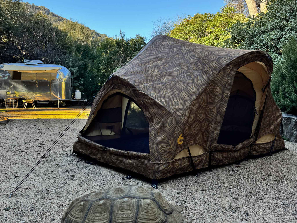 C6 Outdoor REV Tent — Shellter